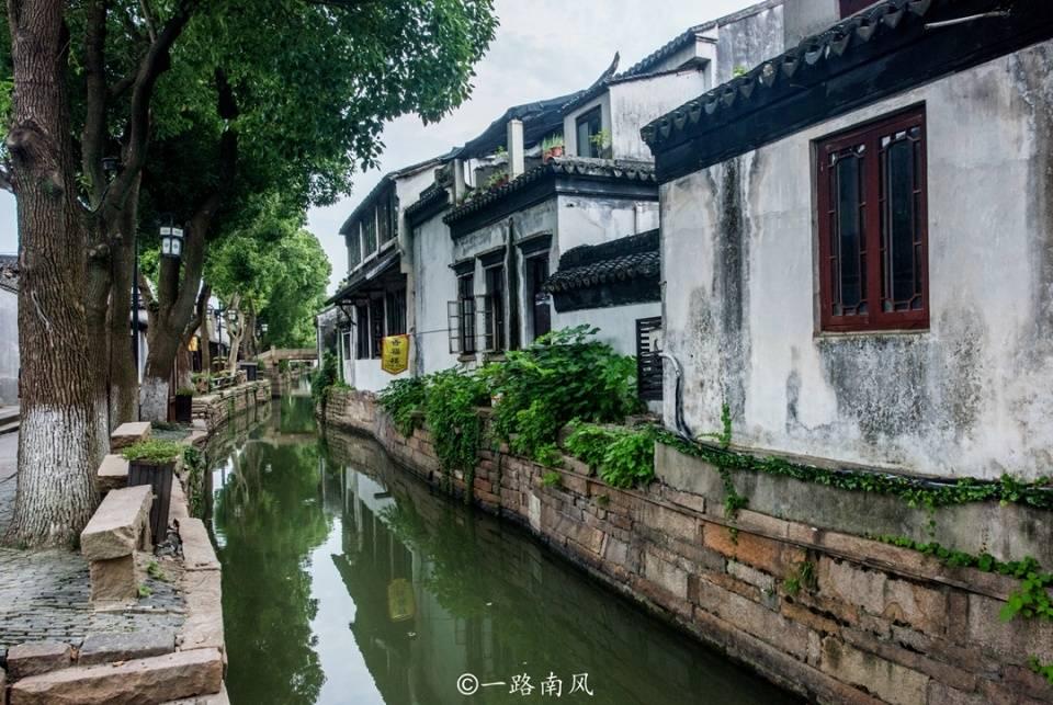 小狗救援行动选关版